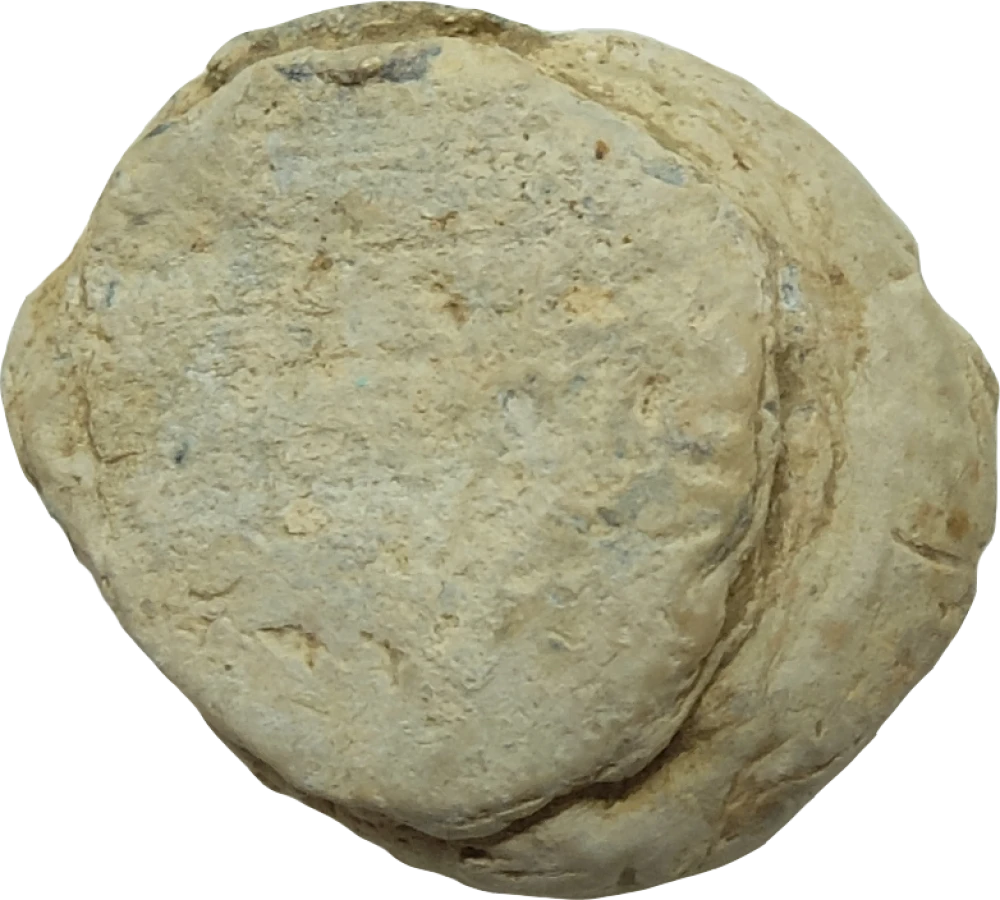 Plomba číslo 0501